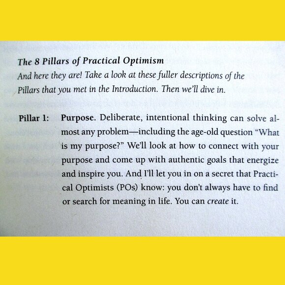 Book - Practical Optimism: The Art, Science & Practice of Exceptional Well-Being - Picture 11 of 16